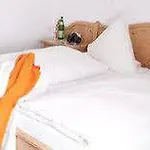 Bio-hotel Uplaender Hof Hotel 3*