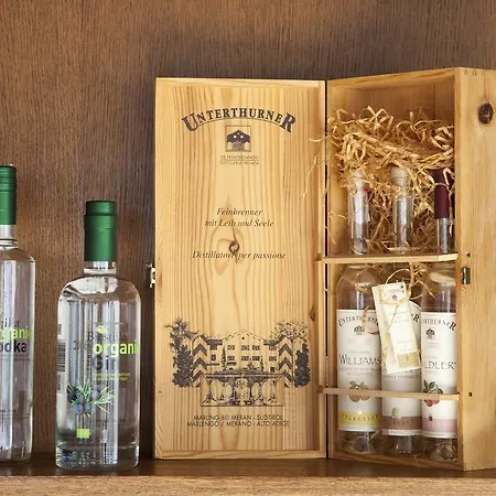 Bio-hotel Uplaender Hof 酒店 维林根