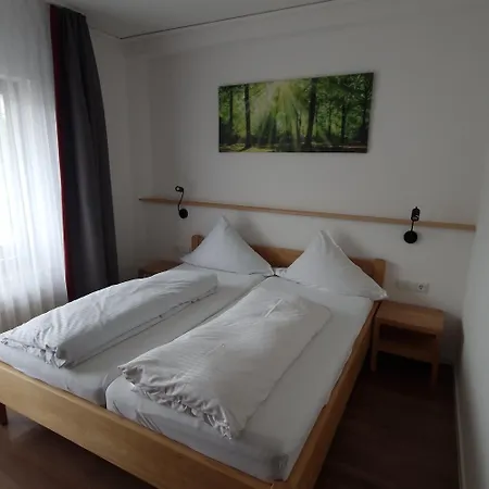 Bio-hotel Uplaender Hof 3* 维林根